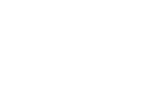 Elasticsearch