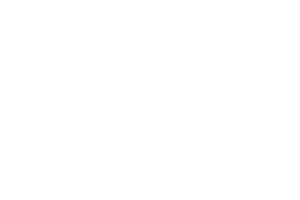 Suricata